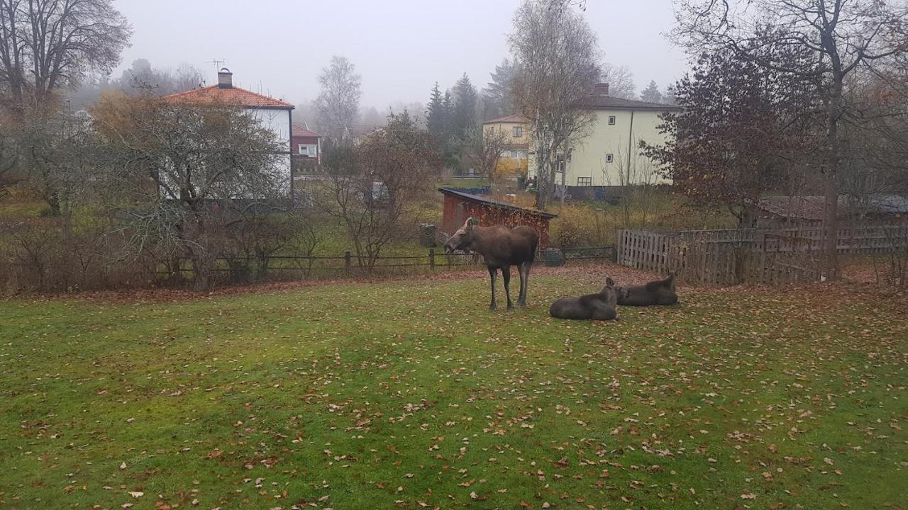 Trevligt Hus Med Egen Gard Och Fri Wifi, Emmaboda Kommun, Lindas Exterior photo